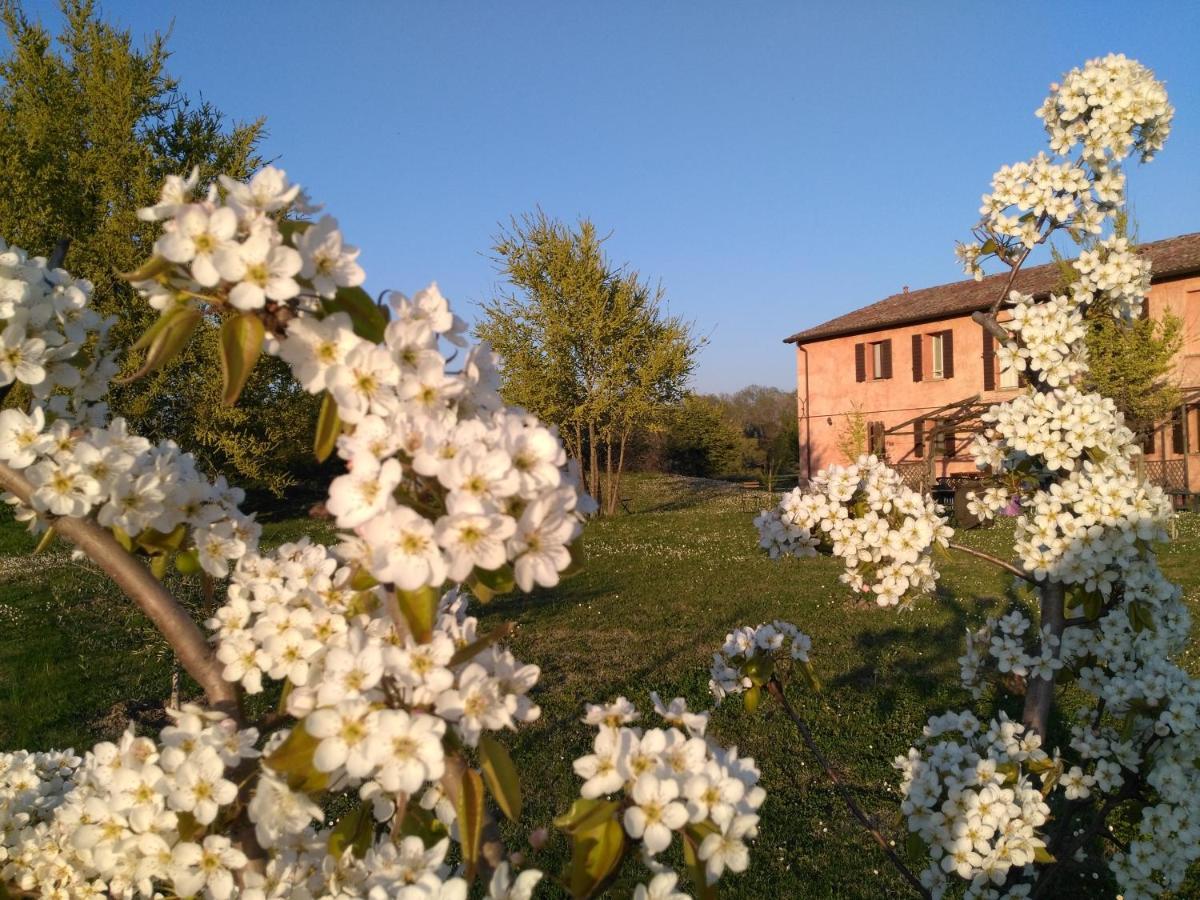 Agriturismo La Lenticchia Fratta Terme Εξωτερικό φωτογραφία