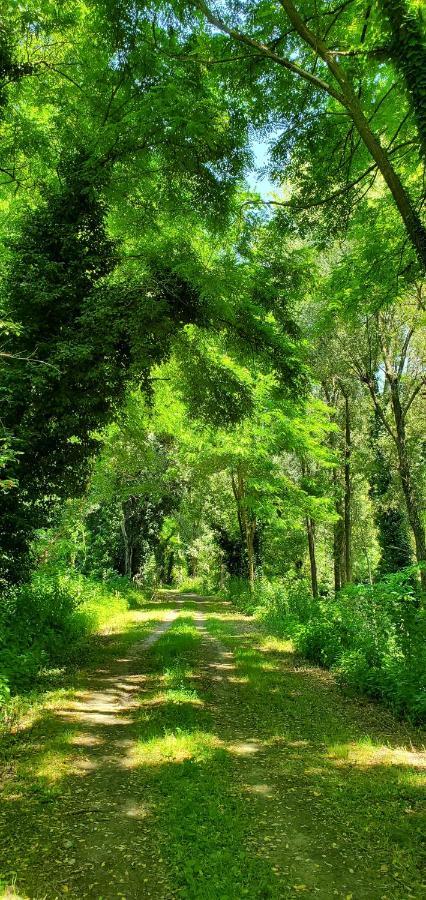 Agriturismo La Lenticchia Fratta Terme Εξωτερικό φωτογραφία