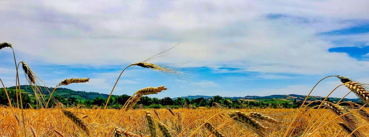 Agriturismo La Lenticchia Fratta Terme Εξωτερικό φωτογραφία