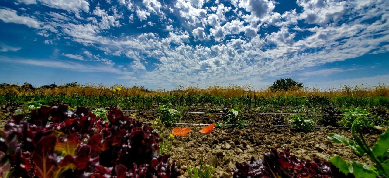 Agriturismo La Lenticchia Fratta Terme Εξωτερικό φωτογραφία