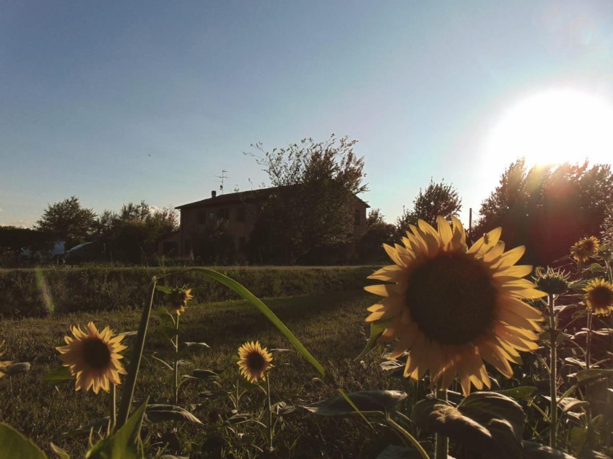 Agriturismo La Lenticchia Fratta Terme Εξωτερικό φωτογραφία