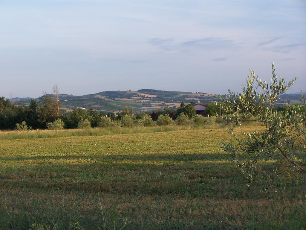 Agriturismo La Lenticchia Fratta Terme Εξωτερικό φωτογραφία