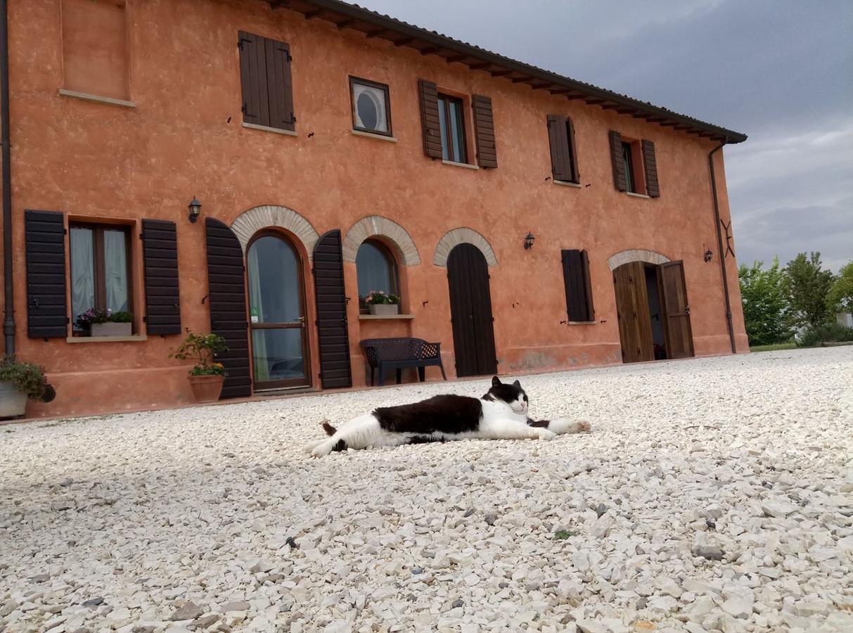 Agriturismo La Lenticchia Fratta Terme Εξωτερικό φωτογραφία